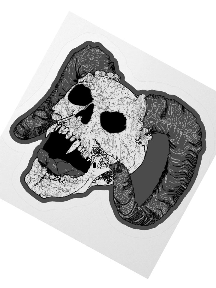 March 4 product image (4)