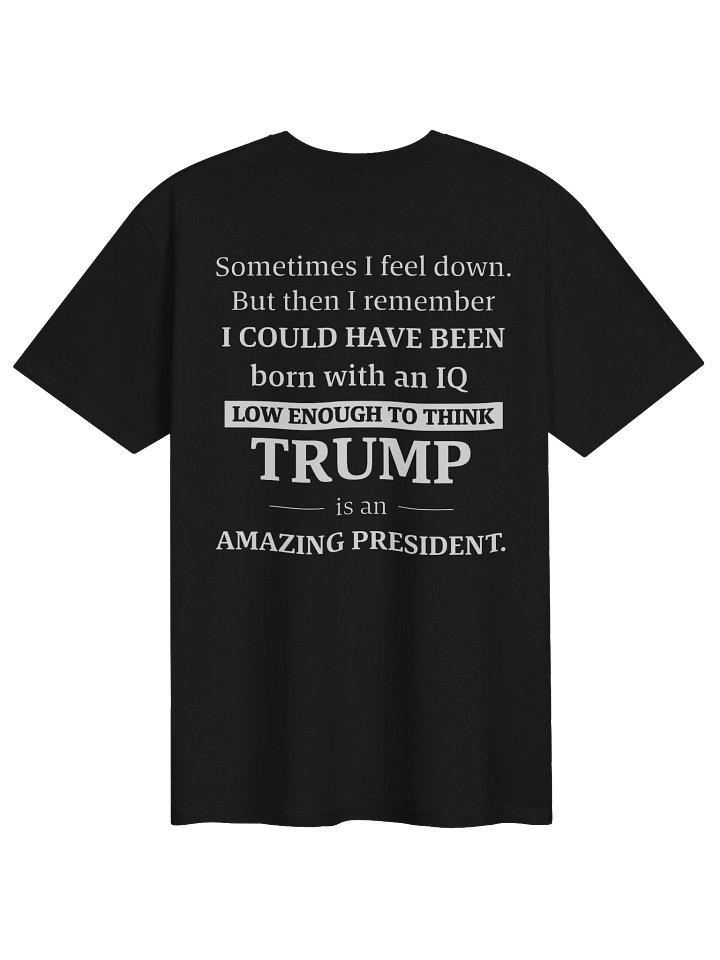 Sometimes I Feel Down But Then I Remember Funny Liberal Shirt product image (1)