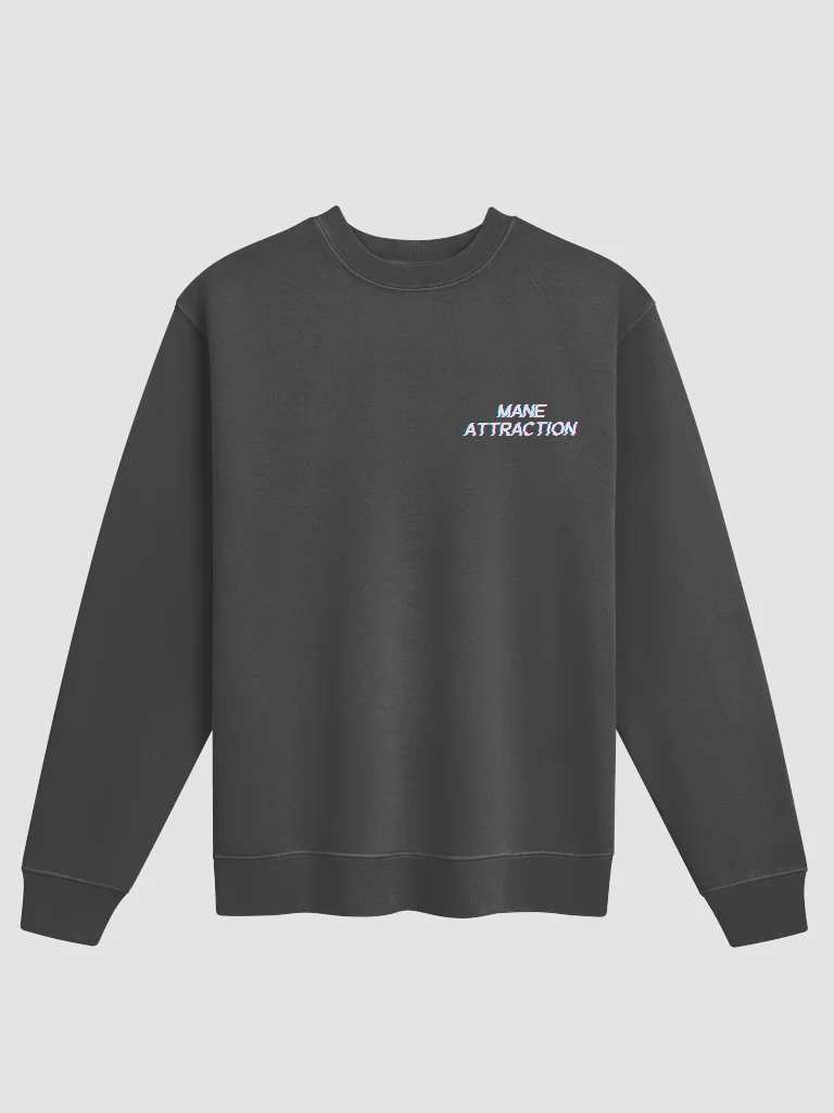 MA Sweatshirt product image (1)