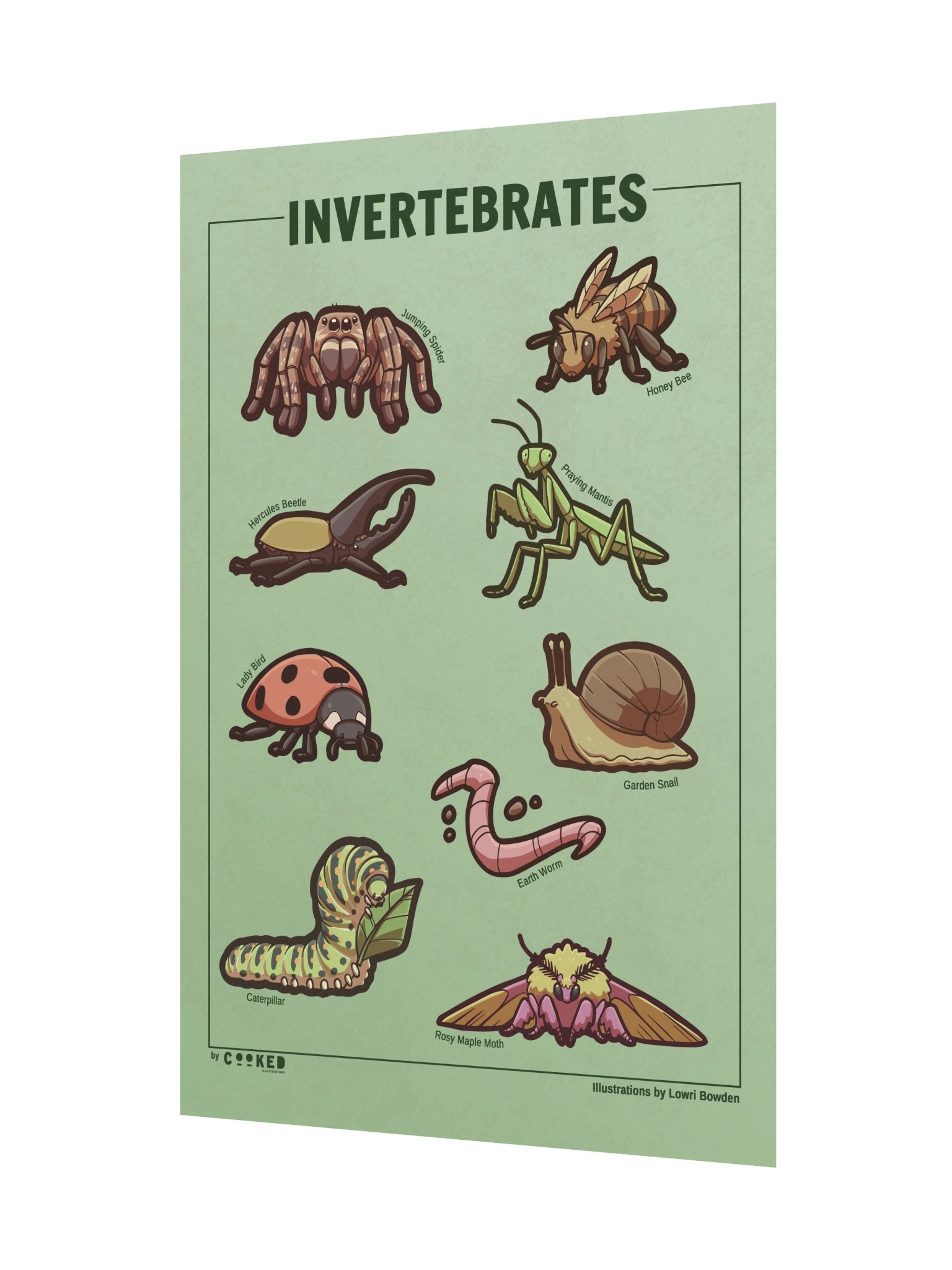 Adorable Invertebrates - 9 Invertebrate Illustrations - Original Illustrated Poster product image (2)