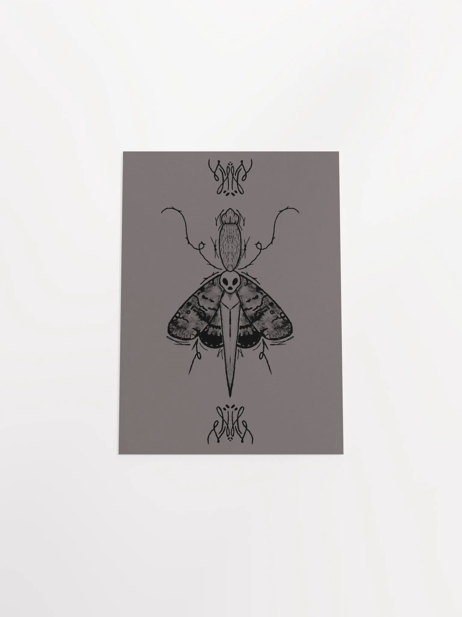Dagger Moth Print product image (26)