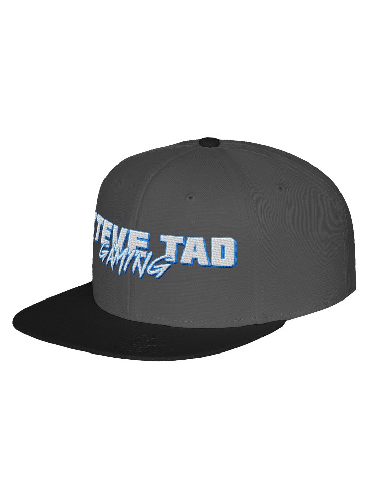 Steve Tad Gaming Hat product image (6)