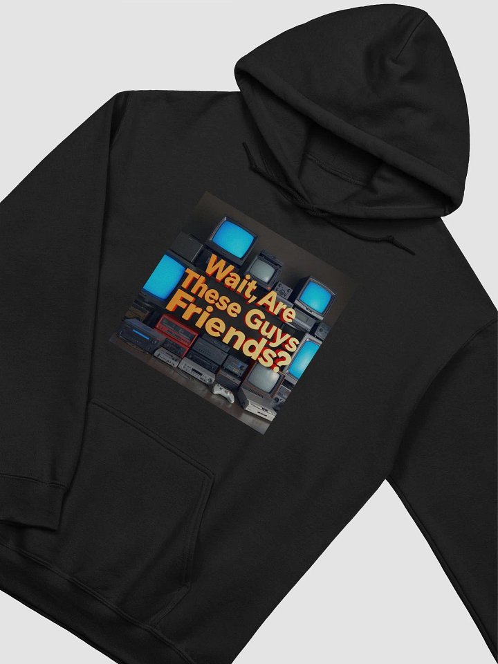 Wait, Are These Guys Friends? Hoodie product image (1)