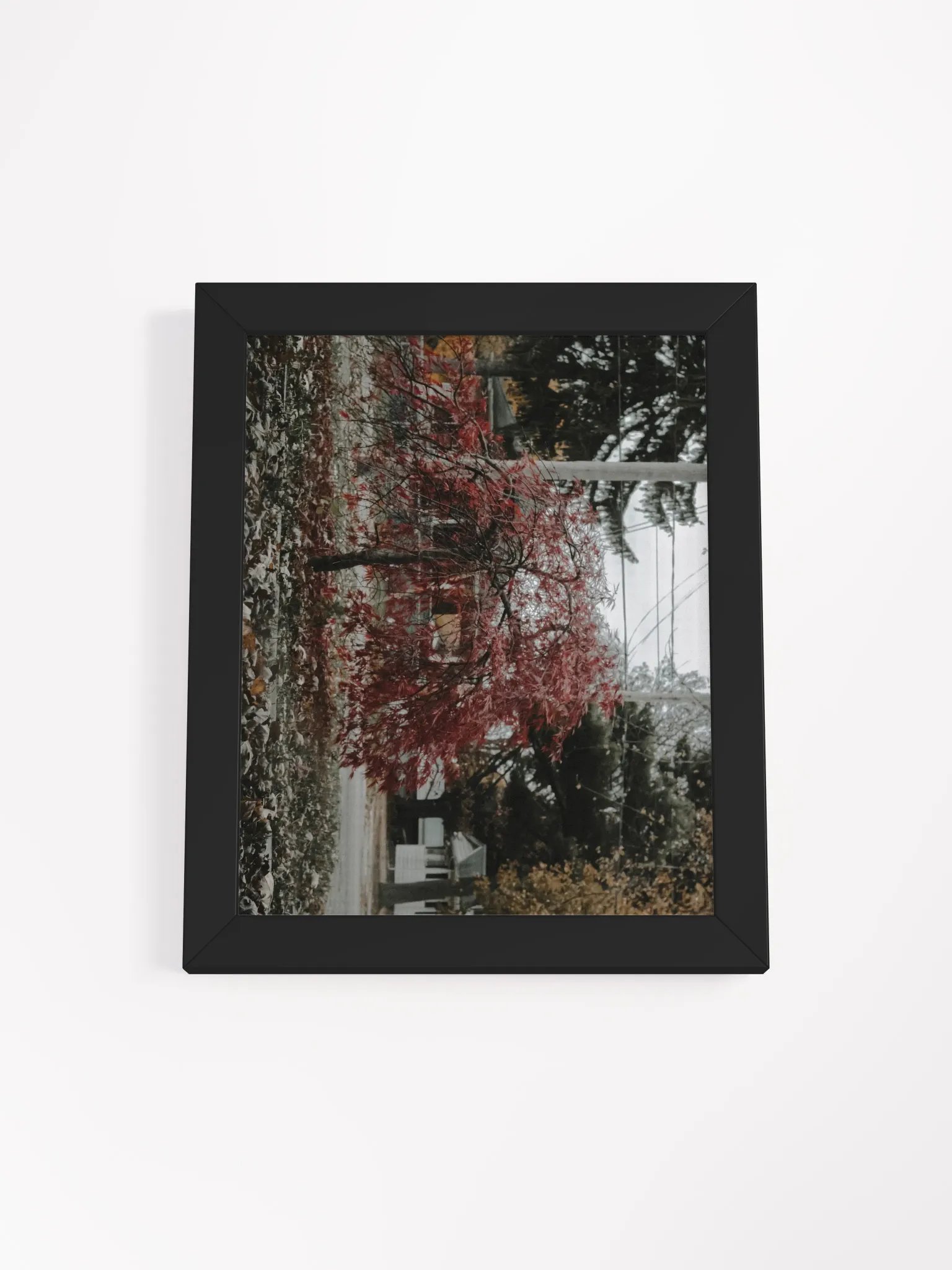 Japanese Maple Tree Print product image (1)