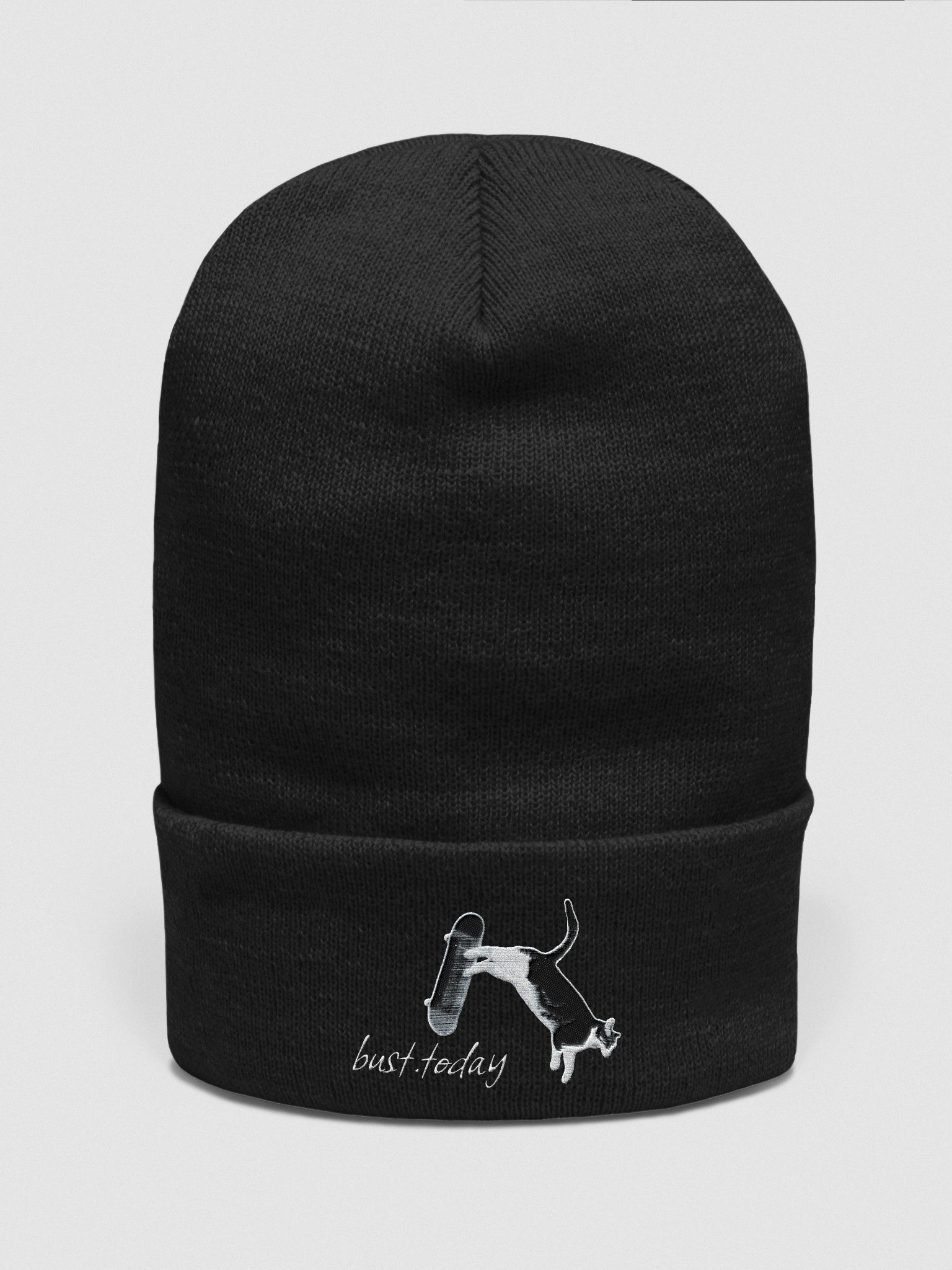 Skate or Bust [Beanie] product image (1)