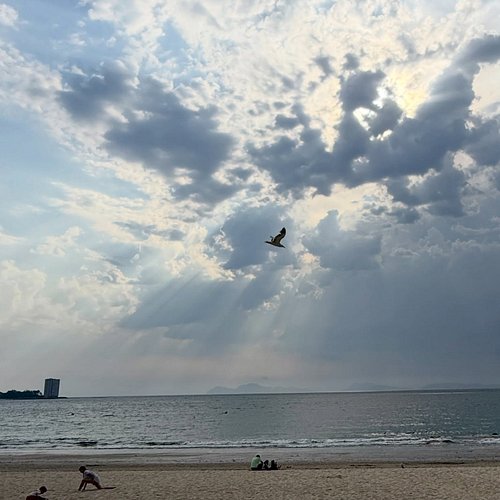 Beach is the best job. #elsanoincrível