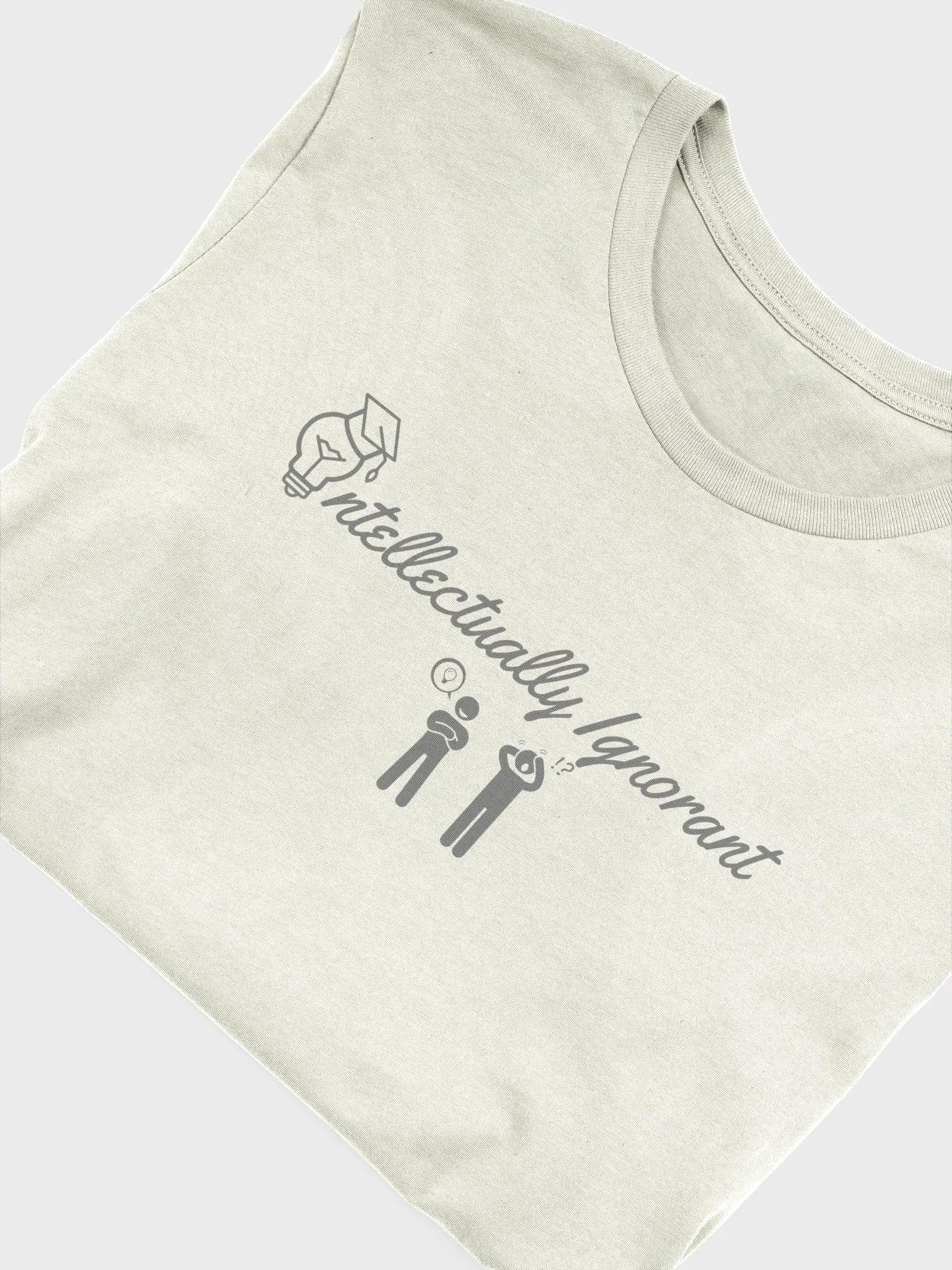 Intellectually Ignorant (GREY LOGO) Tee Shirt product image (45)