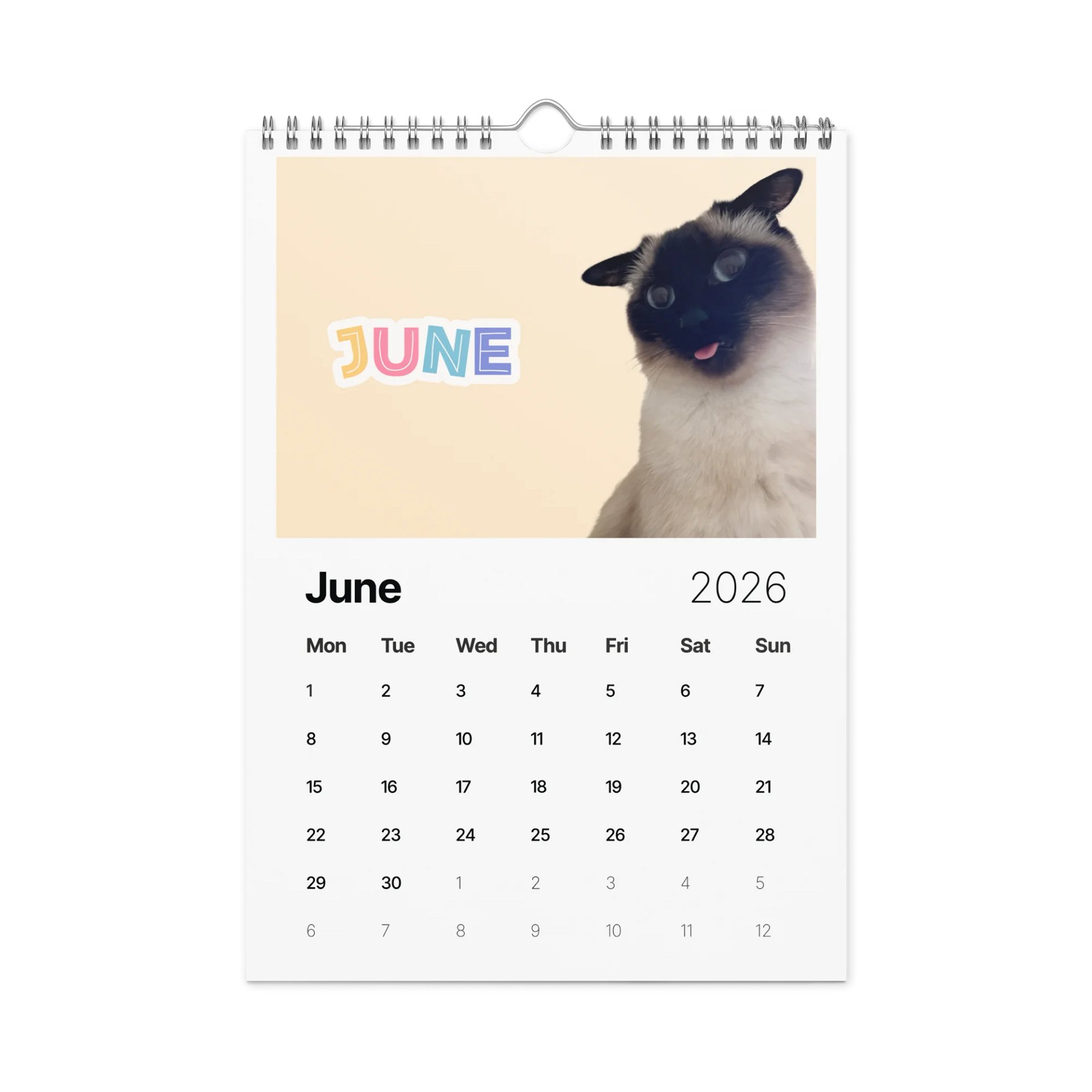 2026 Dobby Calendar product image (7)