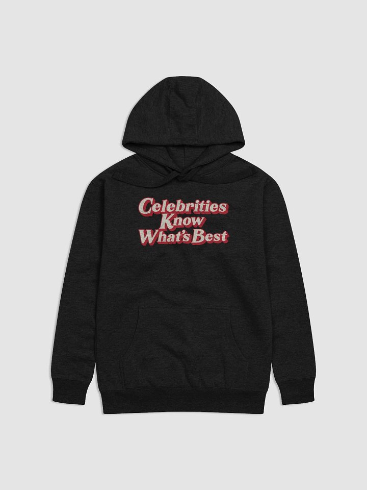Celebrities Know - Premium Hoodie product image (1)