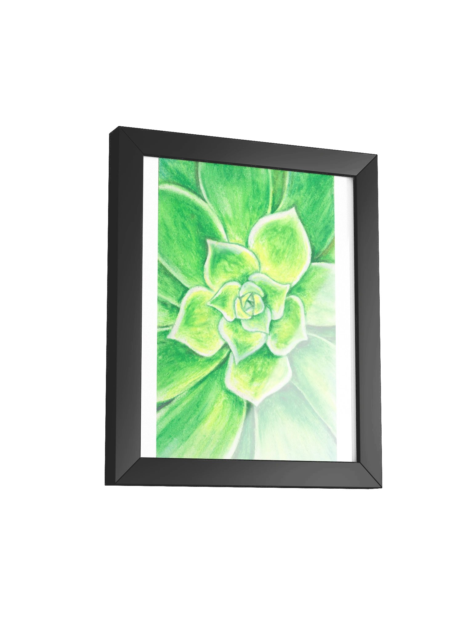 Succulent product image (6)