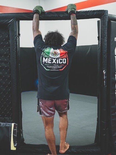 Fight Flags Tee - Mexico product image (2)