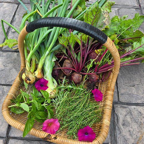 My first harvest this year! Onions, a whole bunch of herbs, and beets! Never had beets before..anyone have any good recipes?!...