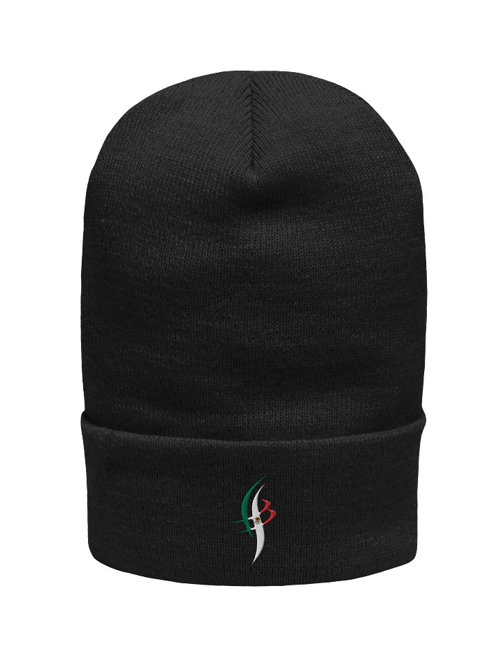 BEAM MEXICAN FLAG BEANIE product image (1)