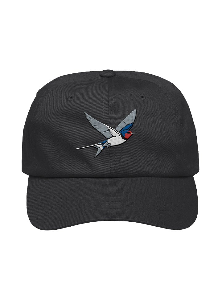 Midnight Swallow Dad Hat product image (3)