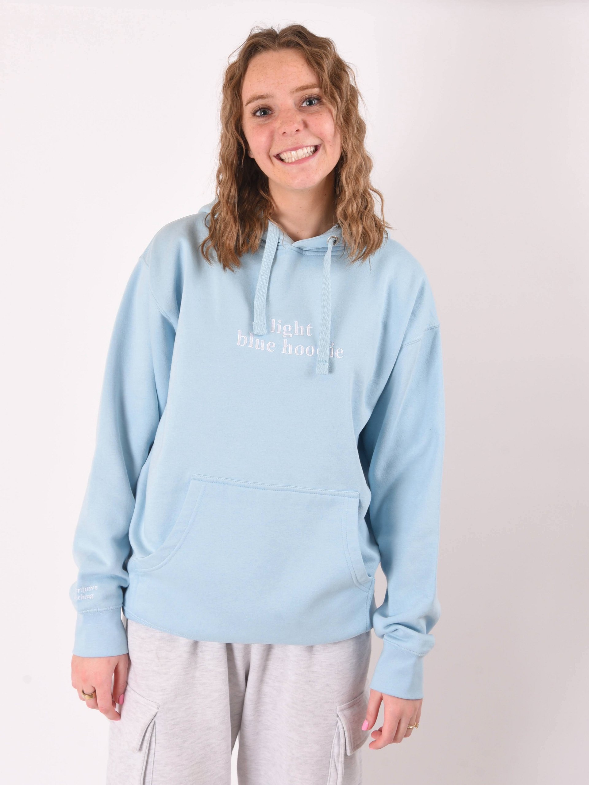 Premium Unisex Hoodie product image (1)
