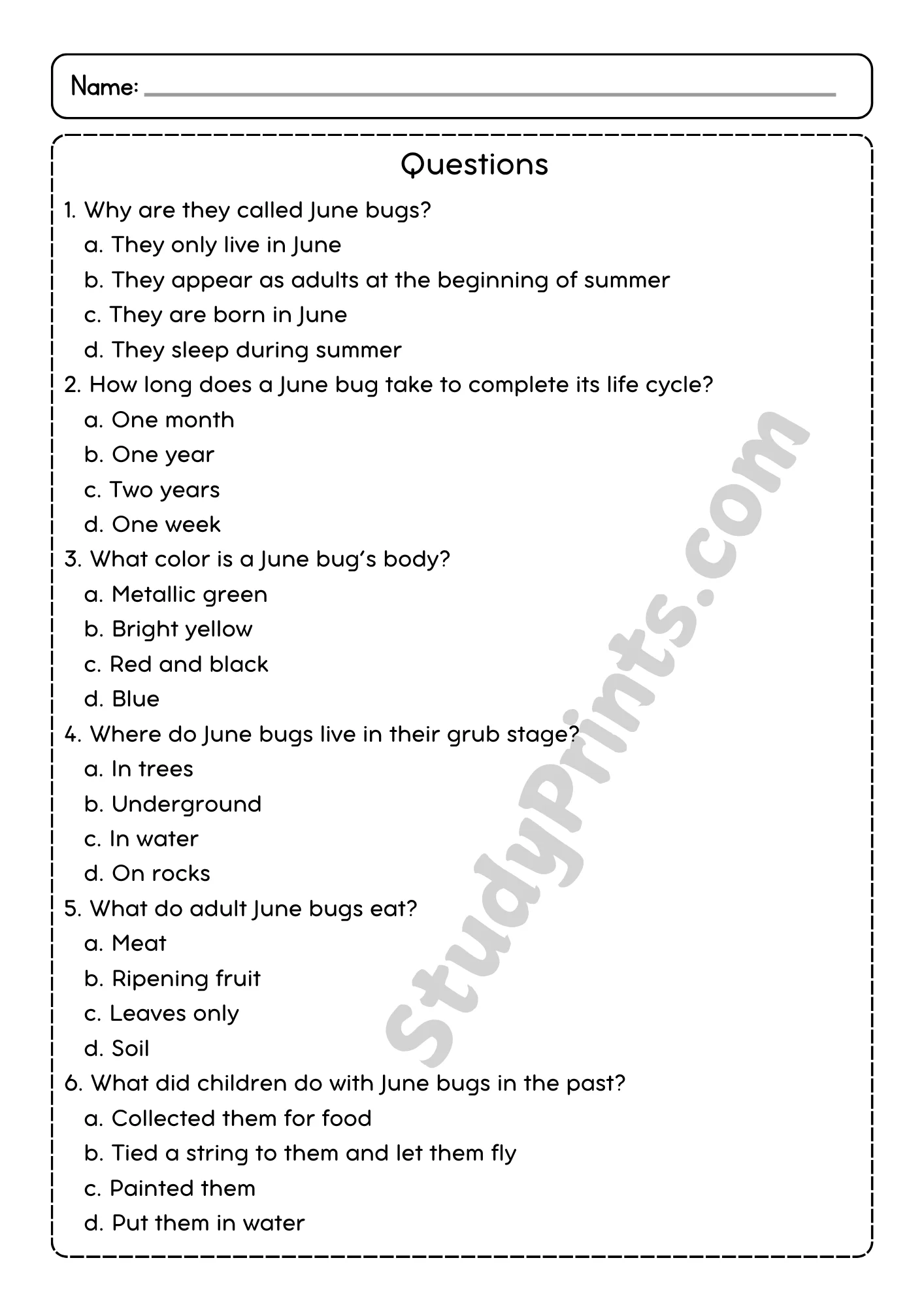 June Bugs Reading Comprehension Passage and Questions | Printable PDF product image (3)