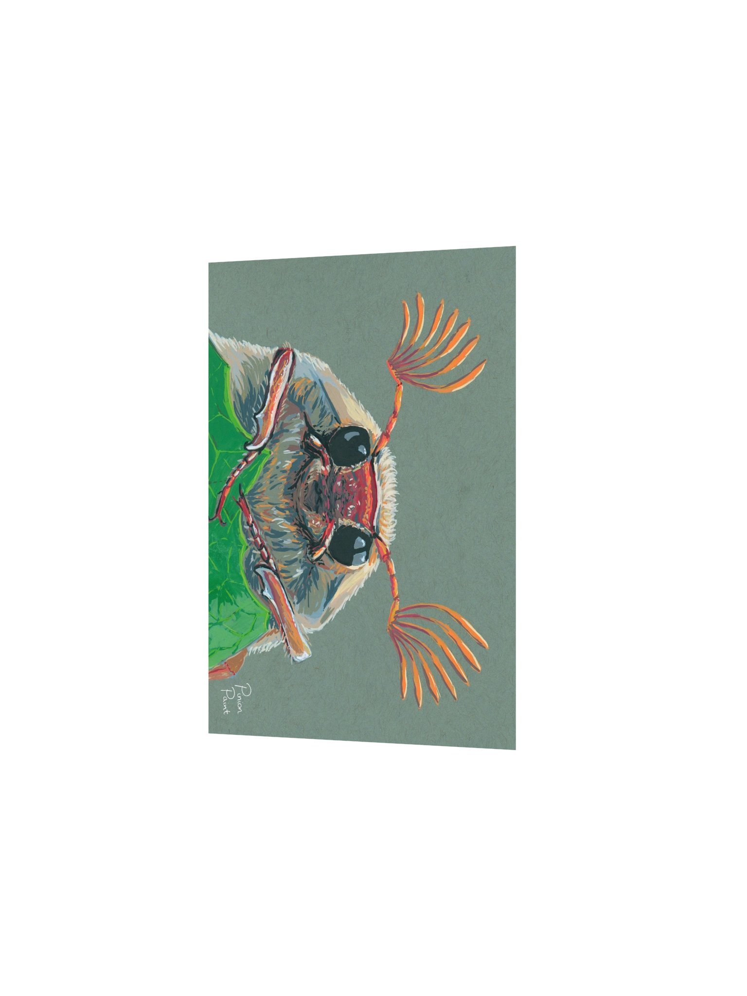 Cockchafer print product image (2)
