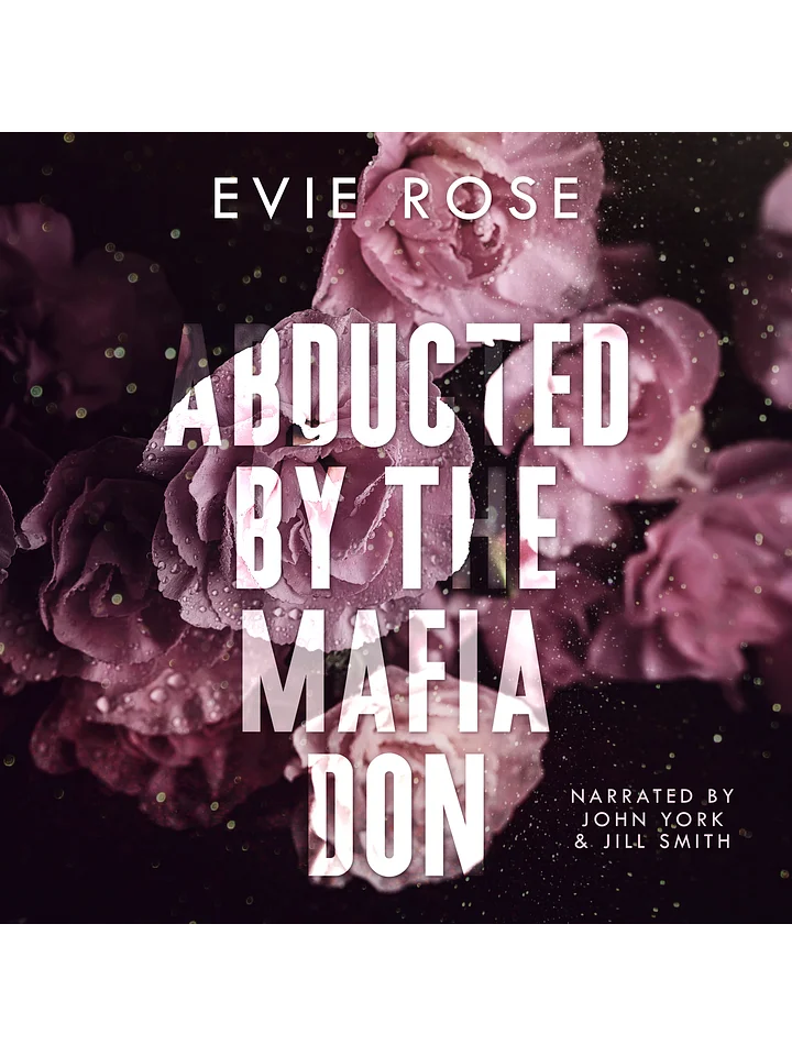 Abducted by the Mafia Don product image (1)