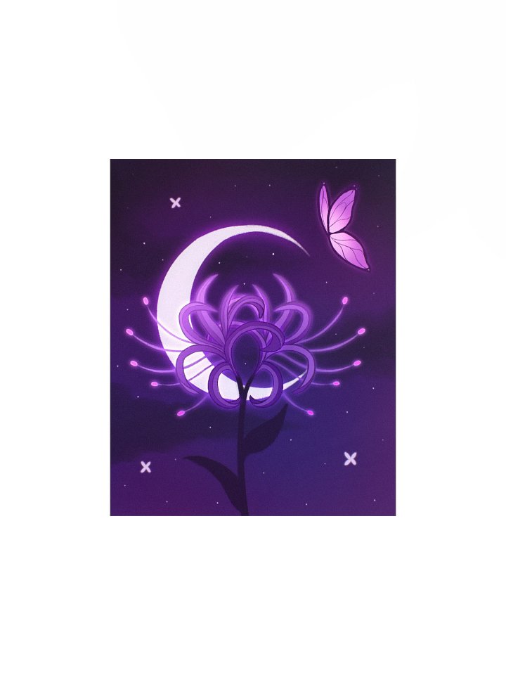 Lilac Spider Lily product image (1)