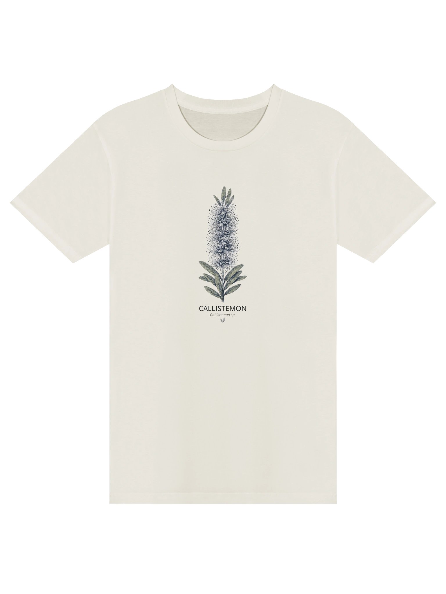 Callistemon Botanical Tshirt product image (1)