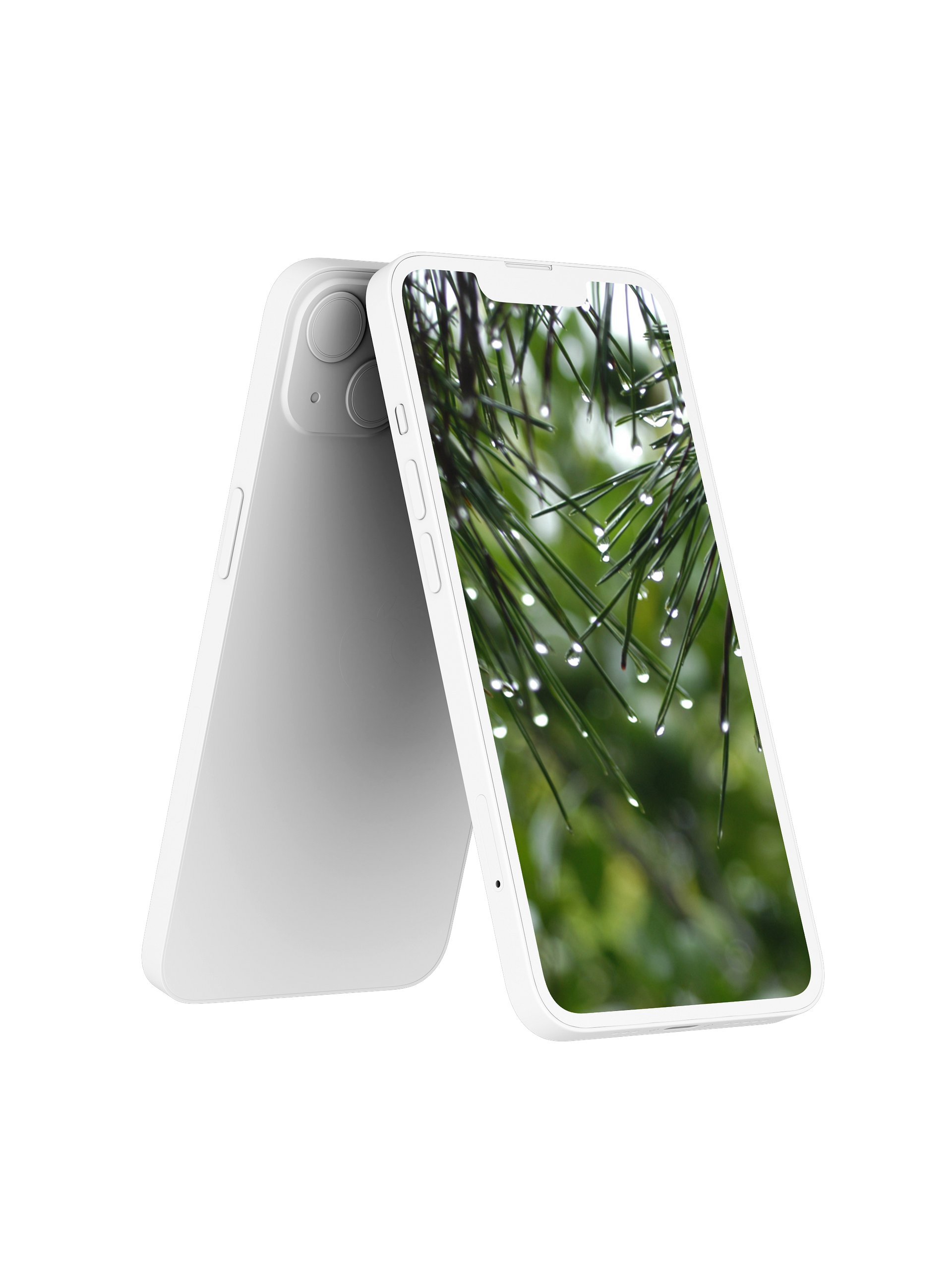 Pine Rain Digital Wallpaper Set product image (2)