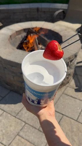 This is next level 🍓 #smore #smores #dessert #easydessert