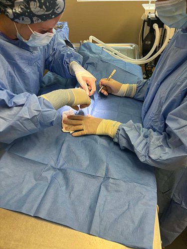 Today, 14 more stray cats received lifesaving spay/neuter surgeries through our partnership with East Emporia Veterinary Clin...