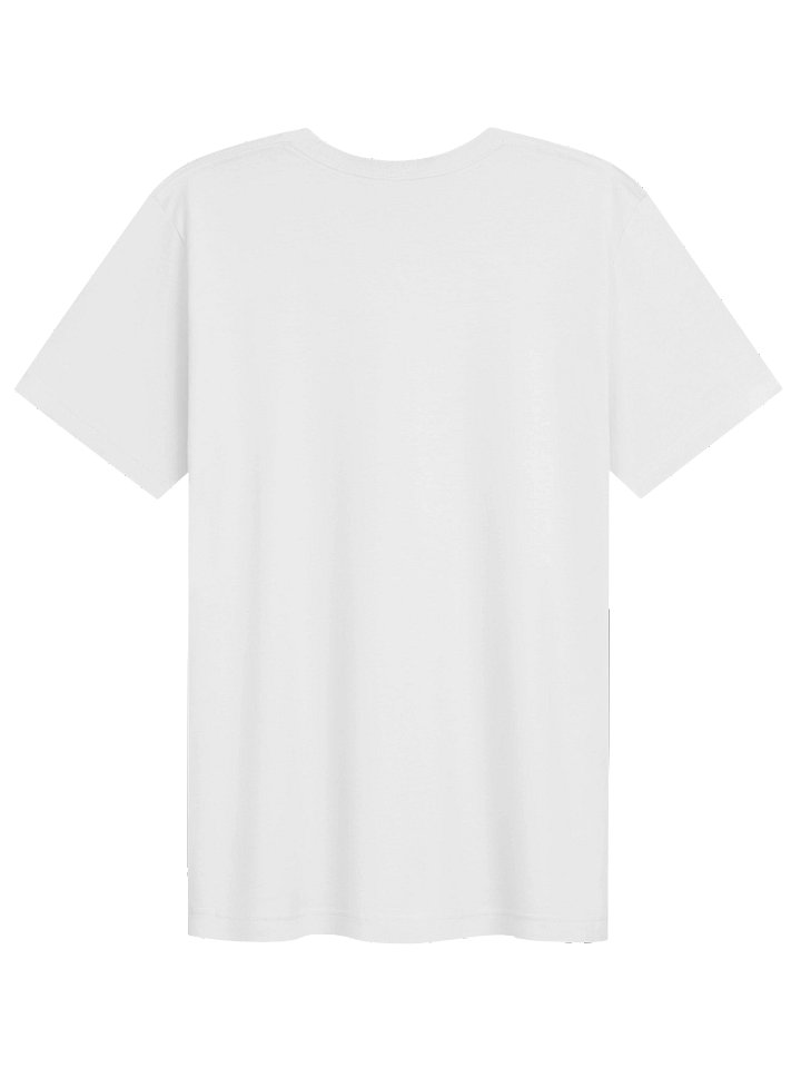 Pasa Taco Please Tee product image (12)