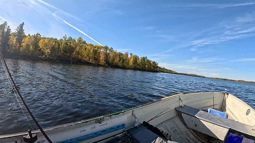 Fall fishing caught a nice walleye.

Just whistle to the eagle as it flew off, right after I caught a nice walleye 🎣.
Anytime...