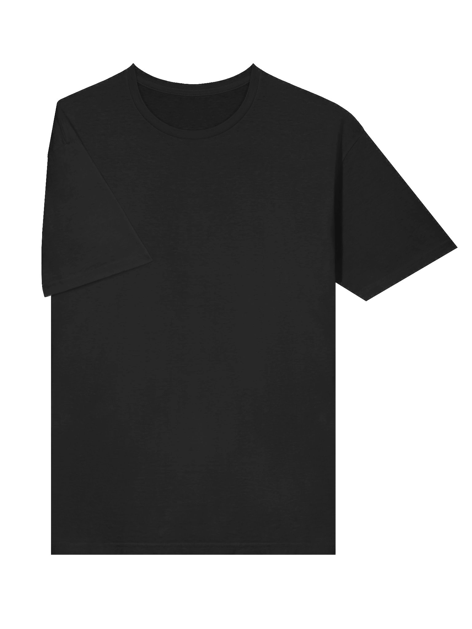T-Shirt Basique "L'Insigne du Sel"; product image (5)