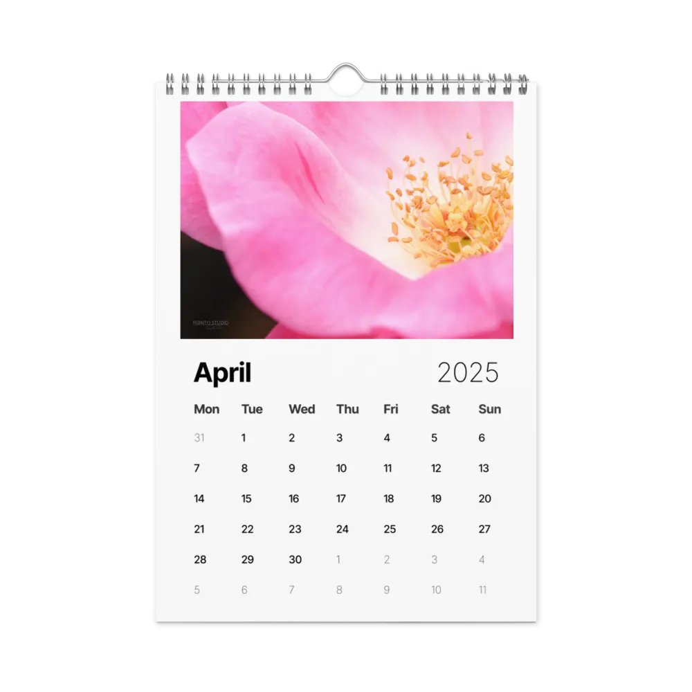 Pure Colors 2025 Wall Calendar product image (5)