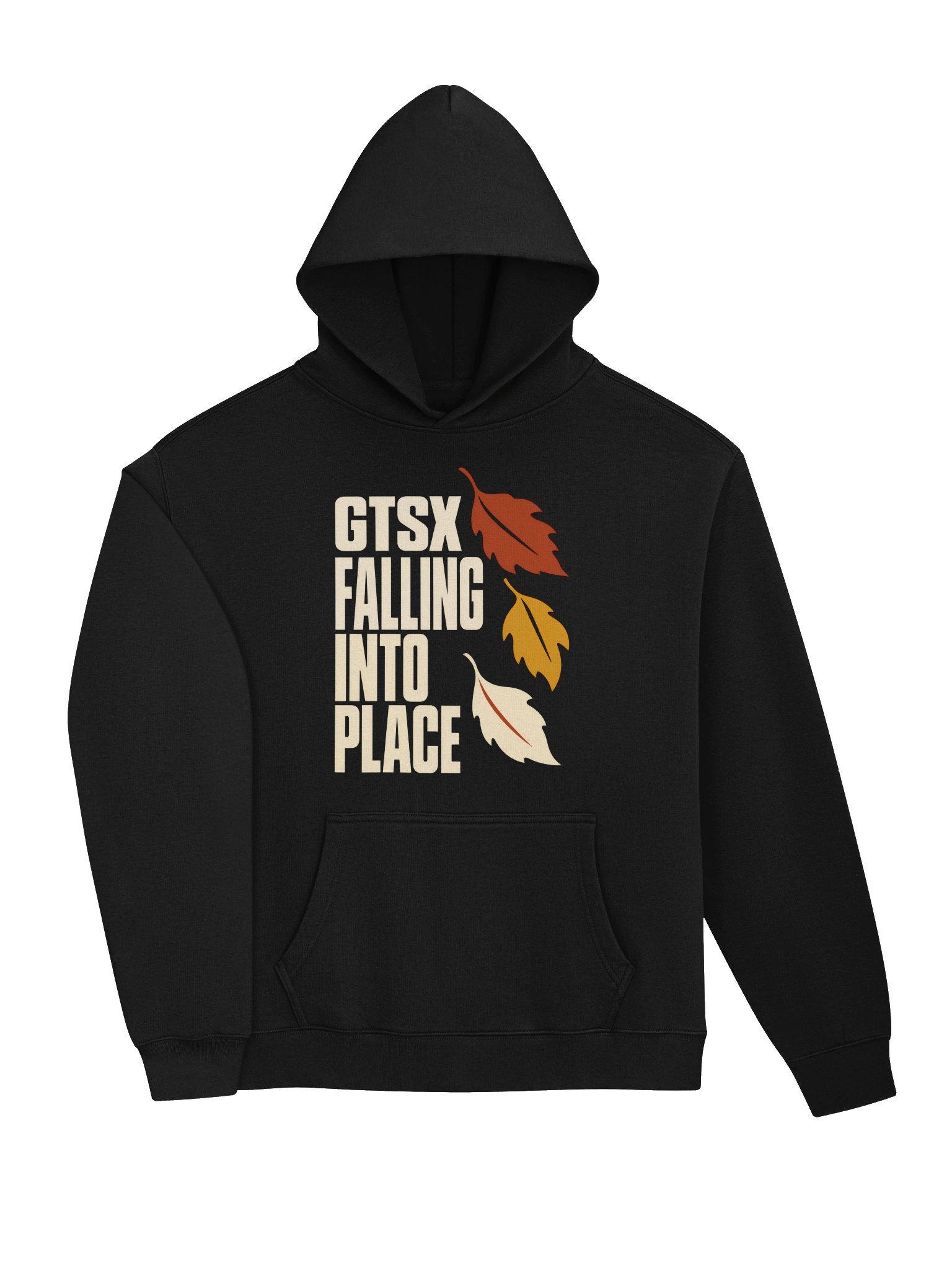 GTSX FALLING INTO PLACE product image (24)