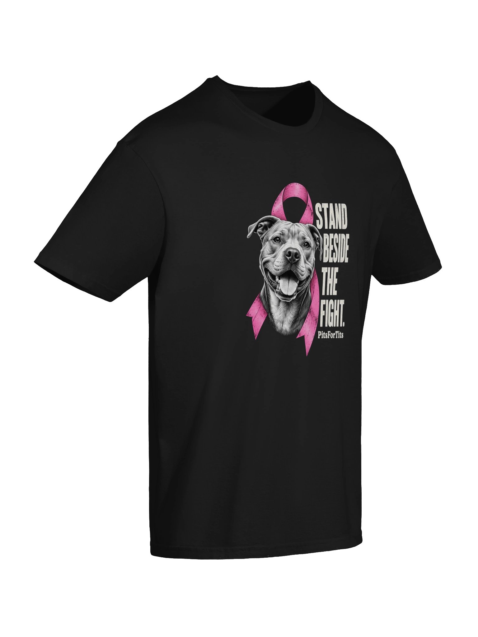 STAND BESIDE THE FIGHT. product image (41)