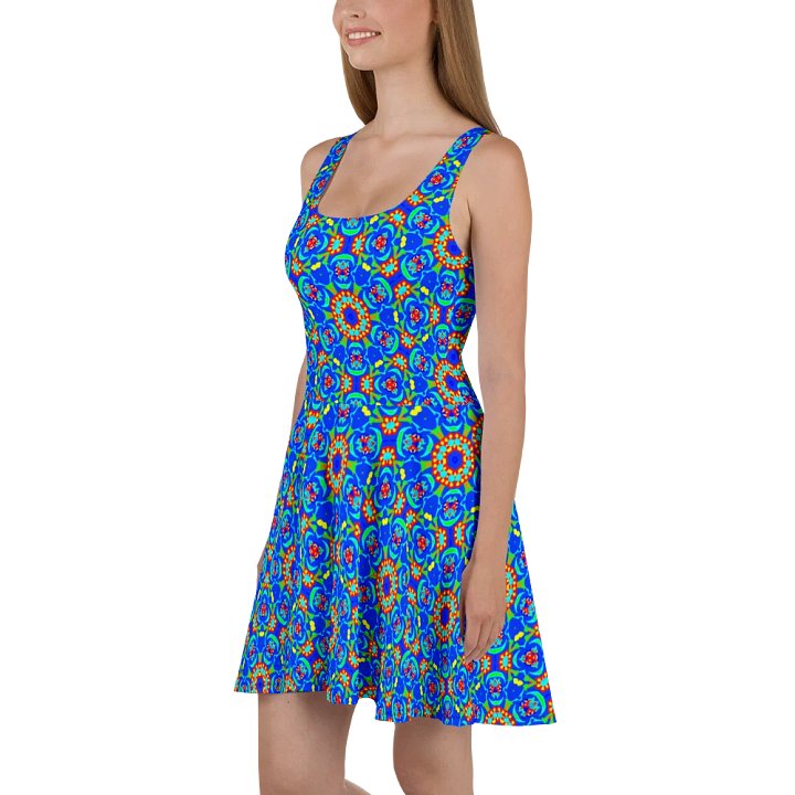 Blue Persian Floral Skater Dress product image (1)