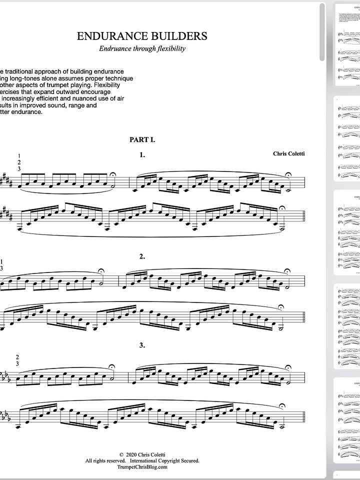 Endurance Builders - PARTS 1, 2 + 3 (8 pages) product image (1)