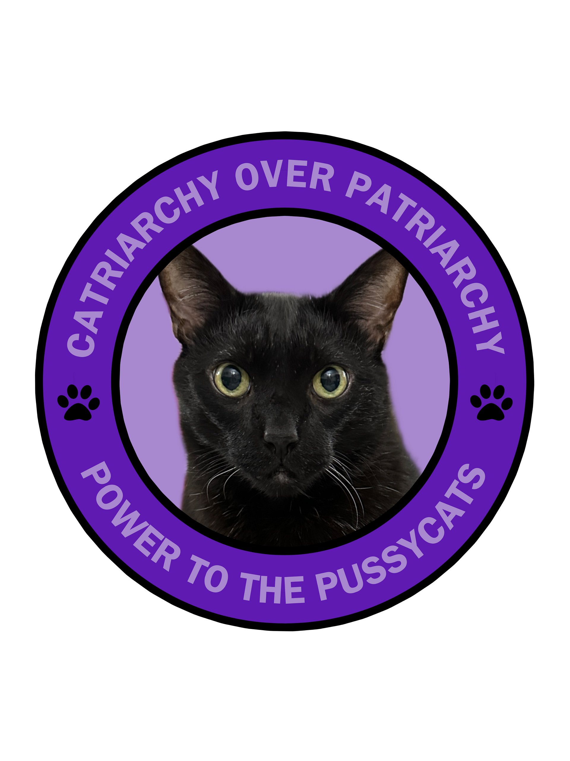 Catriarchy Over Patriarchy sticker product image (1)