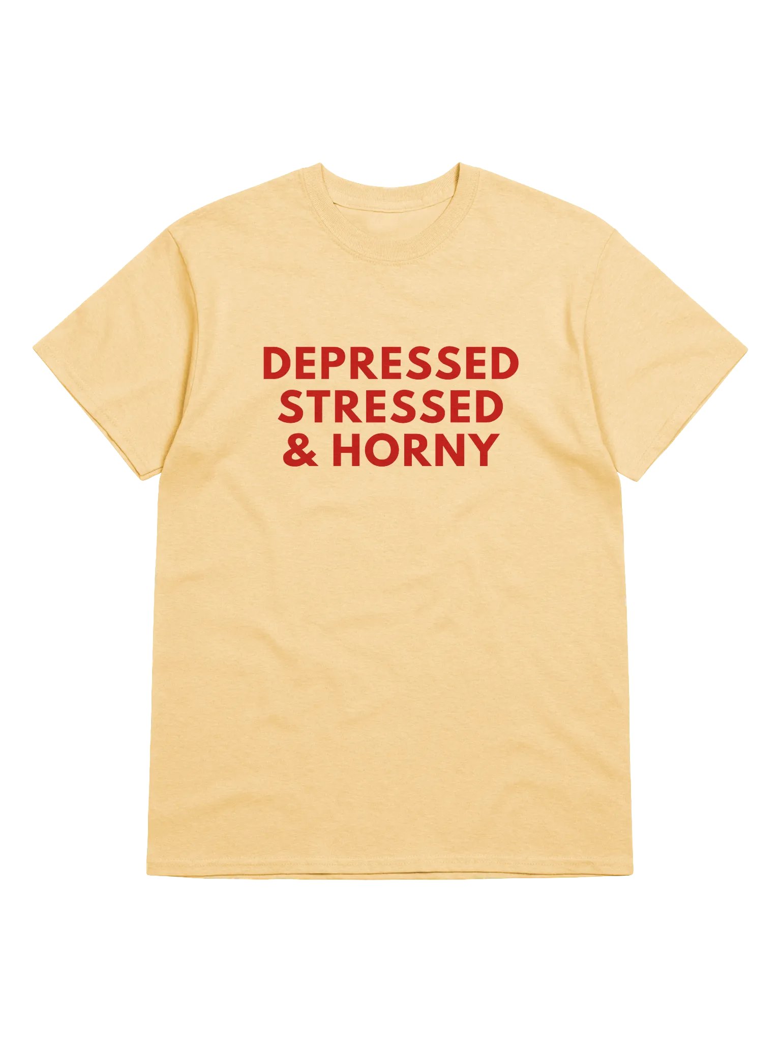Depressed Stressed & Horny T-Shirt product image (1)