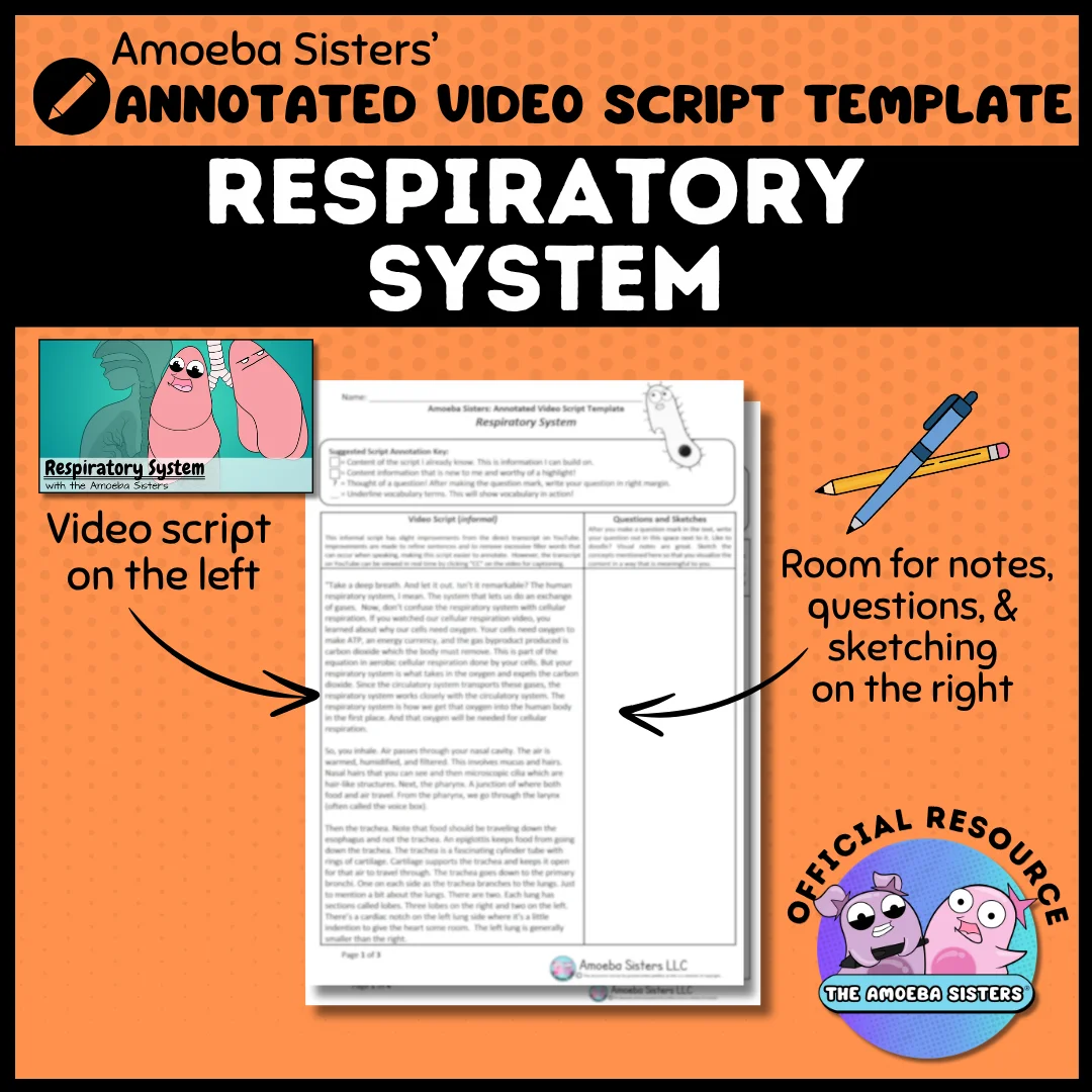 Amoeba Sisters Respiratory System Annotated Video Script PDF product image (1)