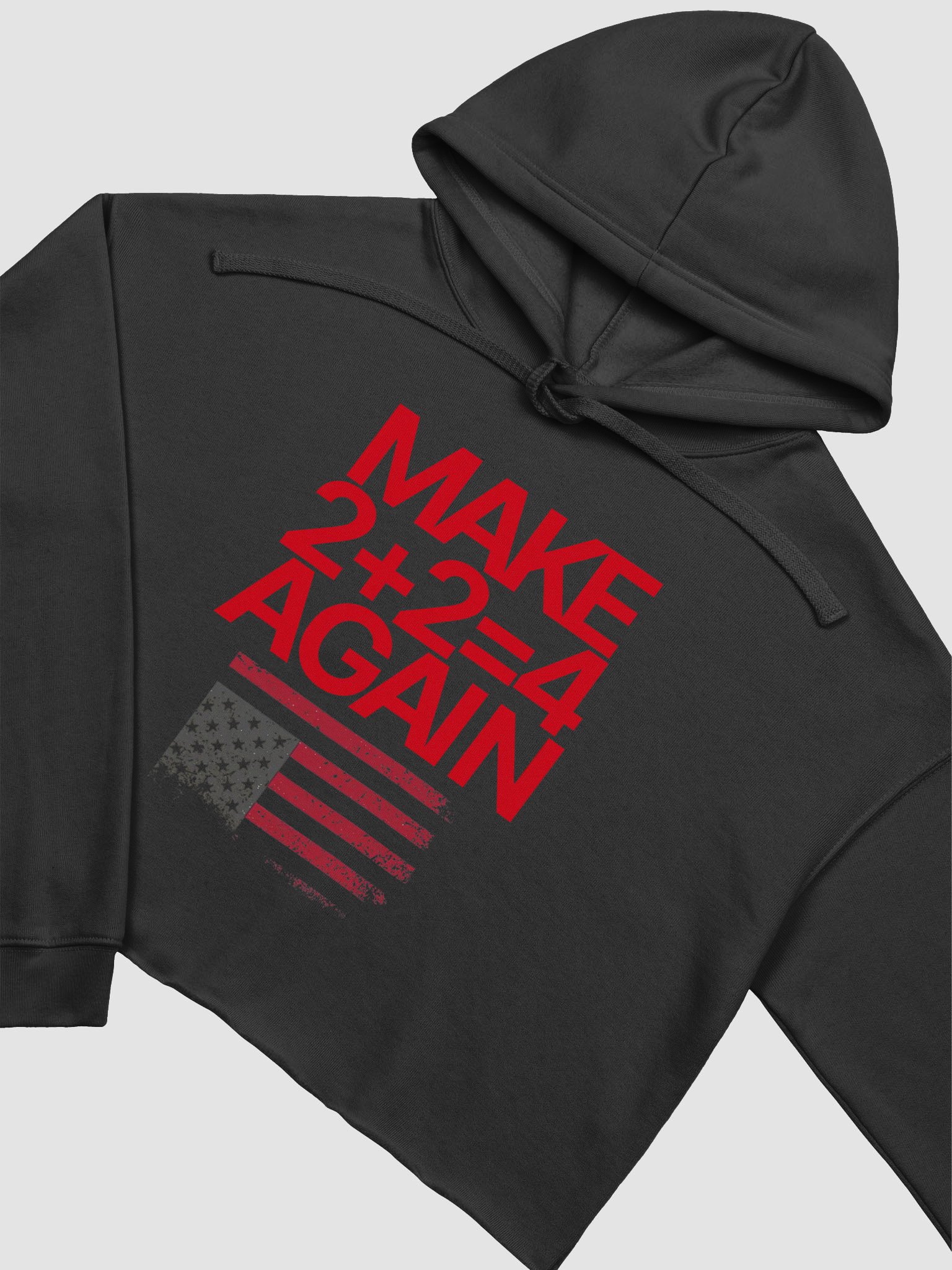 Make 2 + 2 + 4 Again Cropped Hoodie product image (3)