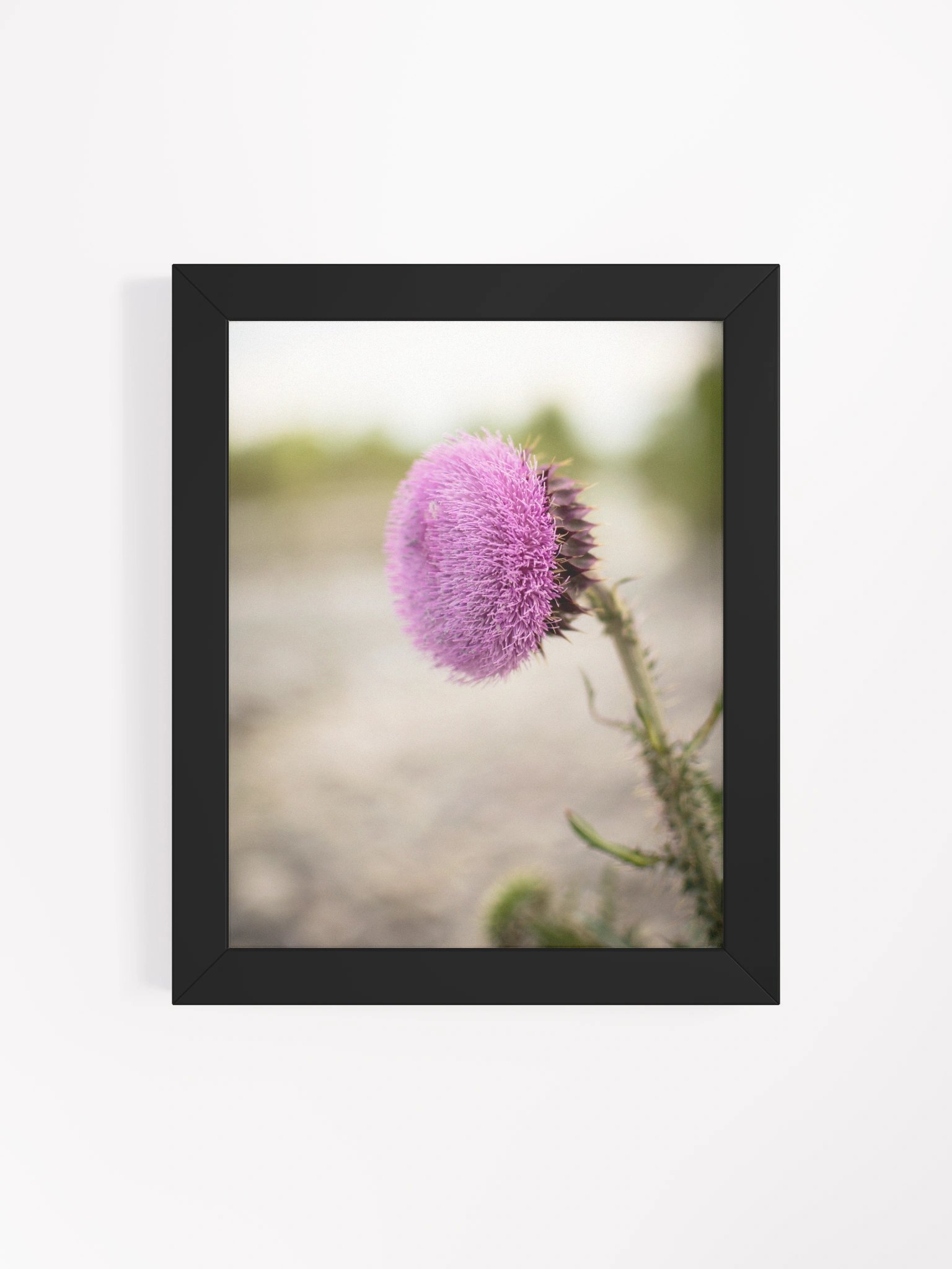 Flower - Blackfoot, Idaho product image (4)