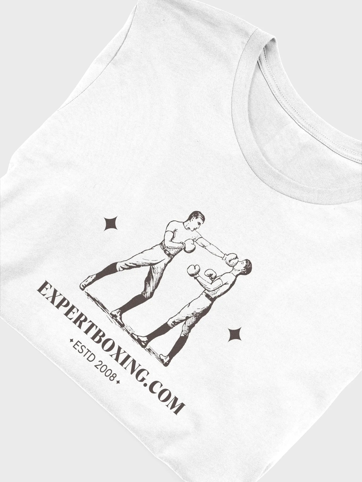 Vintage ExpertBoxing Tee product image (10)