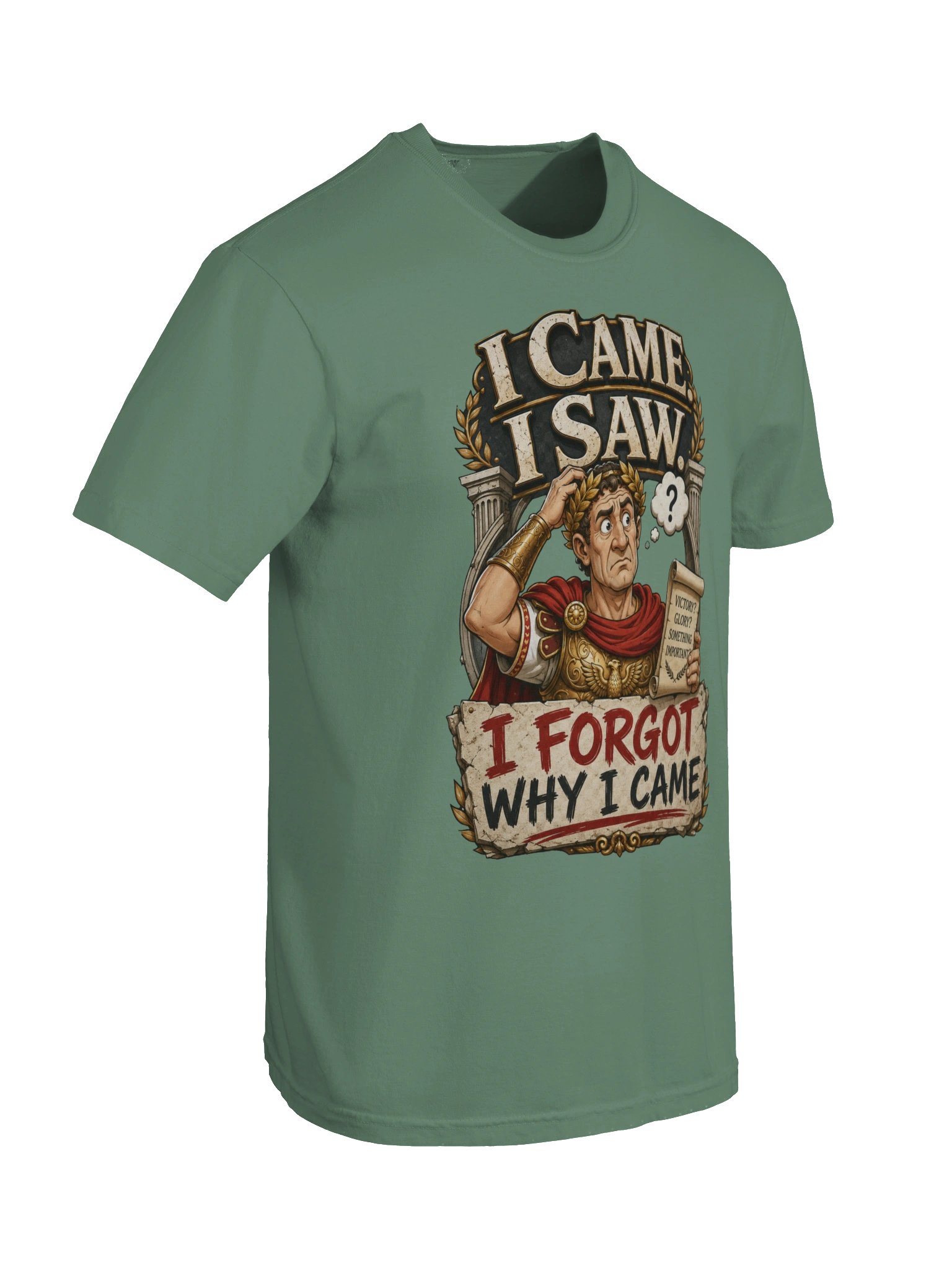 I Came I Saw I Forgot Why I Came Sarcastic T-Shirt product image (72)