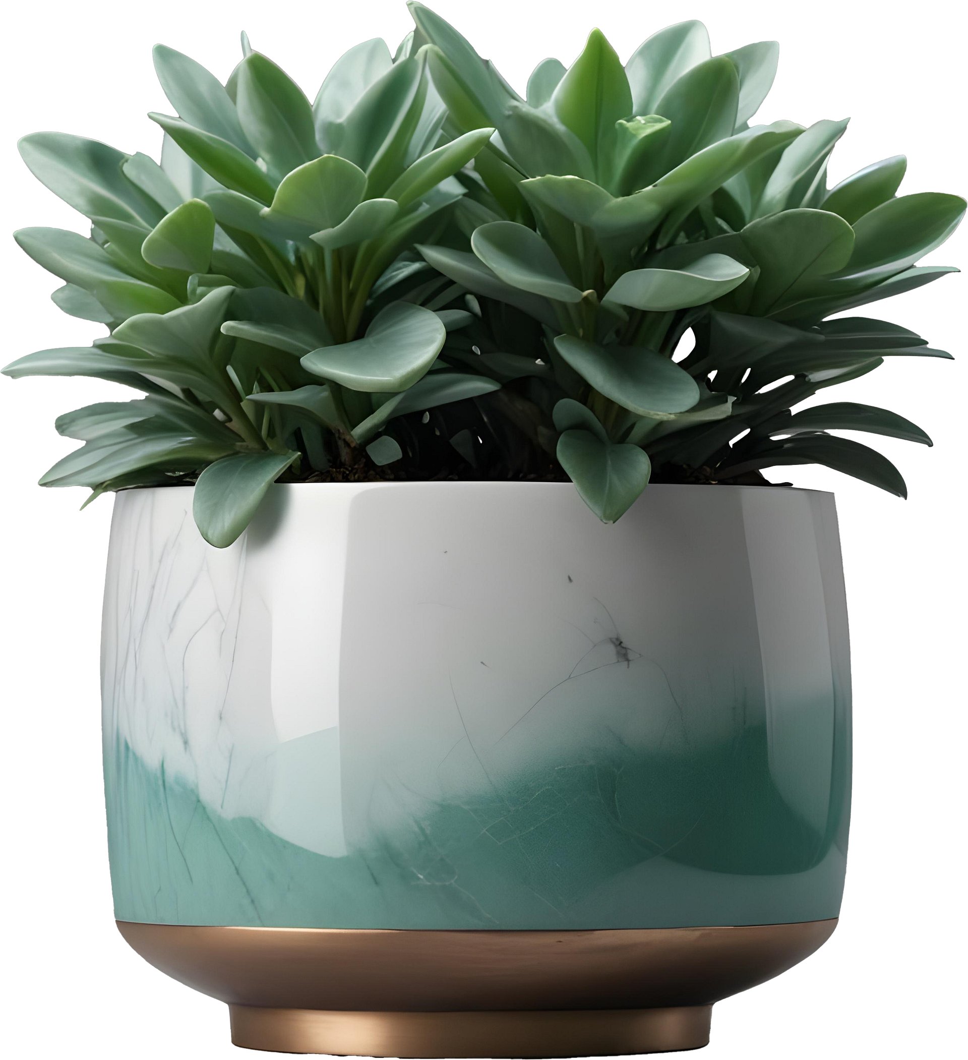 Jade Signature – Faceted Jade Planter PNG product image (1)