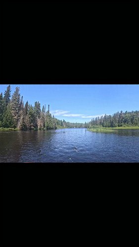 Cool fishing moments while out fishing.
my bro catching a pike, 
Zion catching a walleye, Preston and Tash catching a smallmo...