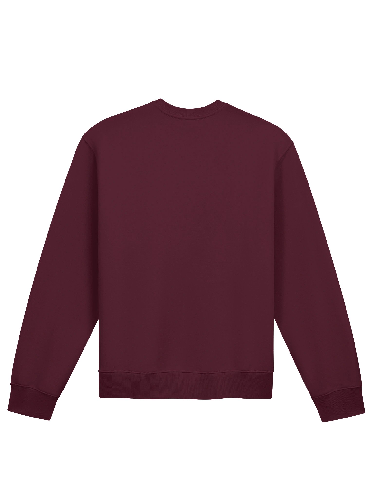 CS Oversized Sweatshirt product image (26)