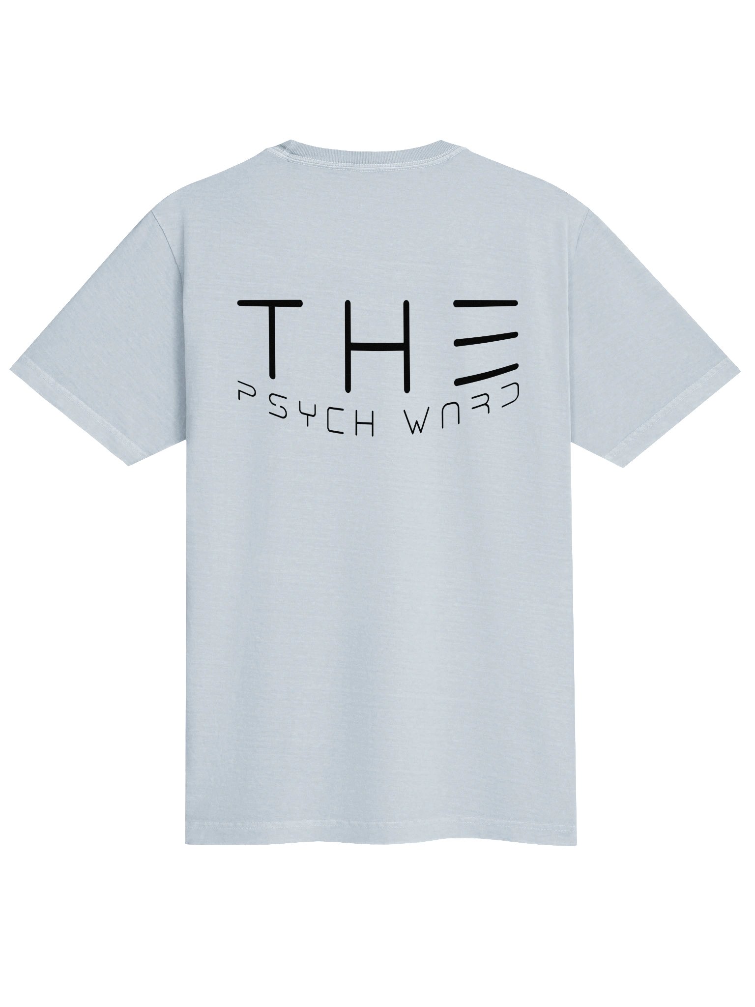 Heavyweight T-Shirt (black) product image (62)