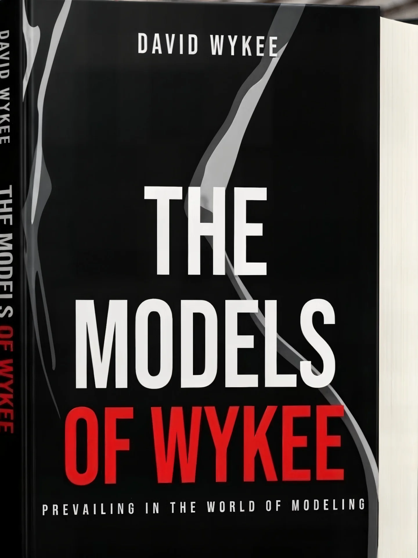 The Models of Wykee: Prevailing in the World of Modeling product image (1)