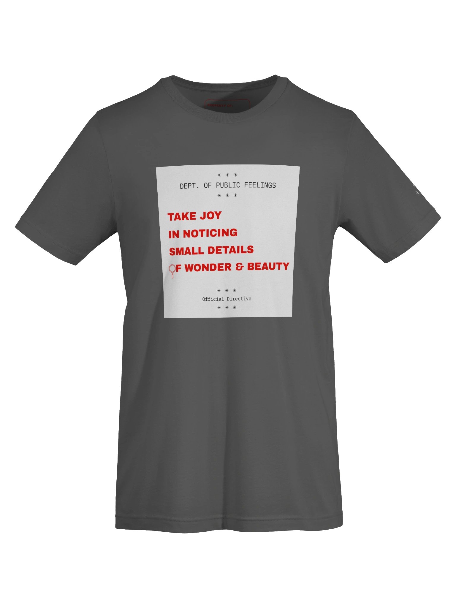 Take Joy in Noticing Small Details of Beauty and Wonder Tee product image (24)