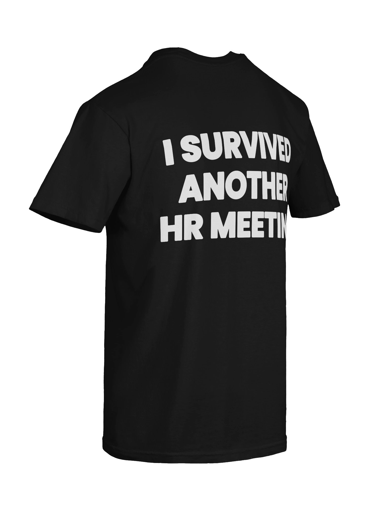 I SURVIVED ANOTHER HR MEETING product image (5)