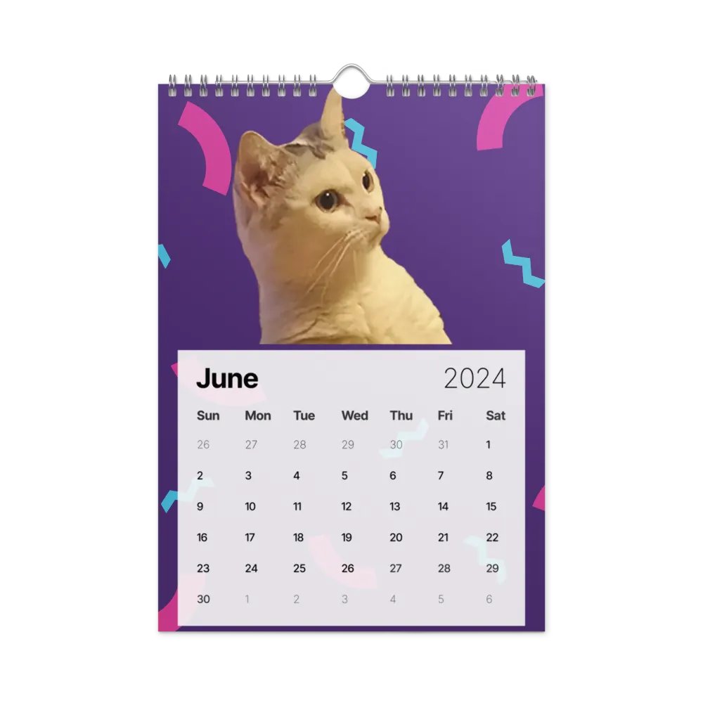 Wall Calendar (2024): Meme Cats product image (12)